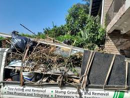 Best Attic Cleanout  in Ellsworth, WI